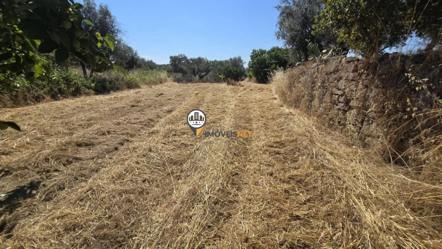 Terreno para Venda em Aldeia do Bispo, Águas e Aldeia de João Pires Foto 15