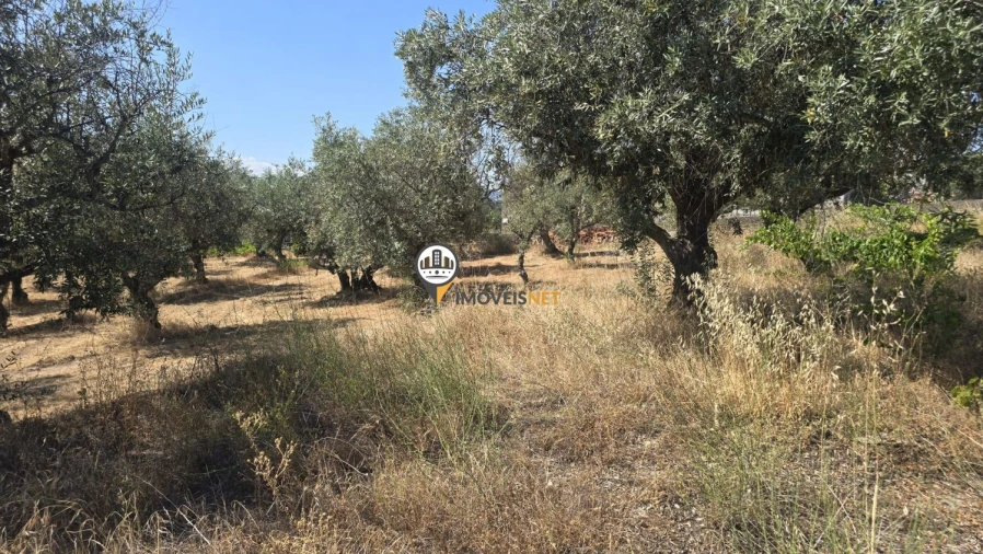 Terreno para Venda em Aldeia do Bispo, Águas e Aldeia de João Pires Foto 36