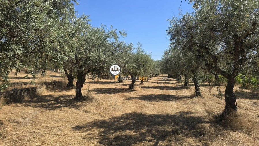 Terreno para Venda em Aldeia do Bispo, Águas e Aldeia de João Pires Foto 39