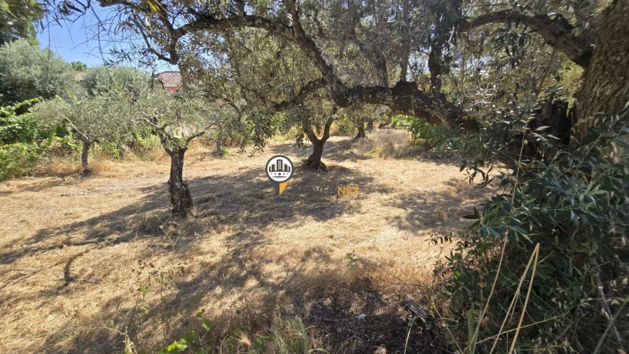 Terreno para Venda em Aldeia do Bispo, Águas e Aldeia de João Pires Foto 10
