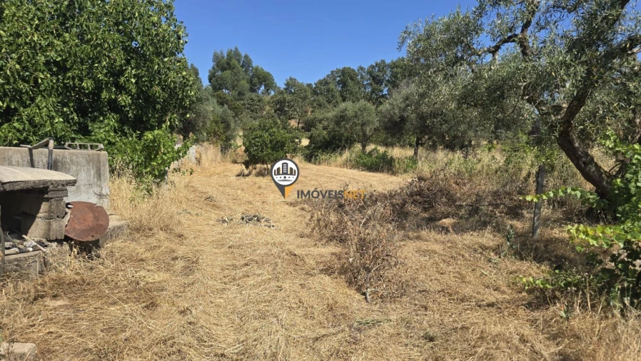 Terreno para Venda em Aldeia do Bispo, Águas e Aldeia de João Pires Foto 30