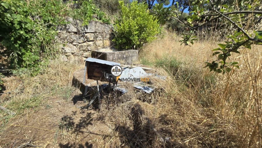 Terreno para Venda em Aldeia do Bispo, Águas e Aldeia de João Pires Foto 3