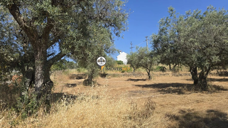 Terreno para Venda em Aldeia do Bispo, Águas e Aldeia de João Pires Foto 43