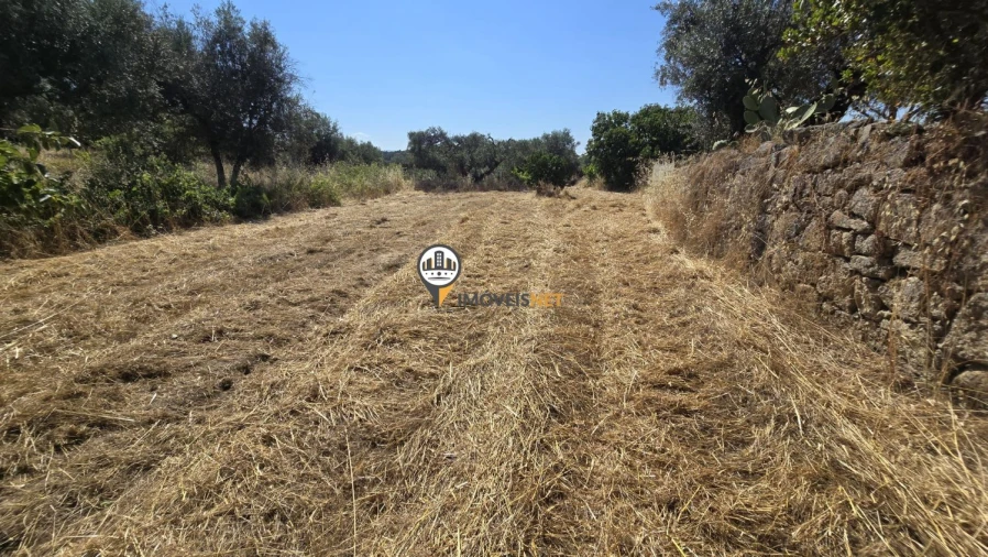 Terreno para Venda em Aldeia do Bispo, Águas e Aldeia de João Pires Foto 17
