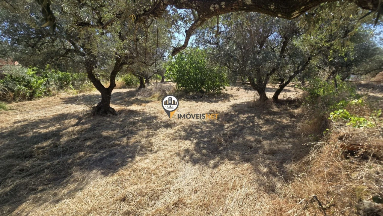 Terreno para Venda em Aldeia do Bispo, Águas e Aldeia de João Pires Foto 9