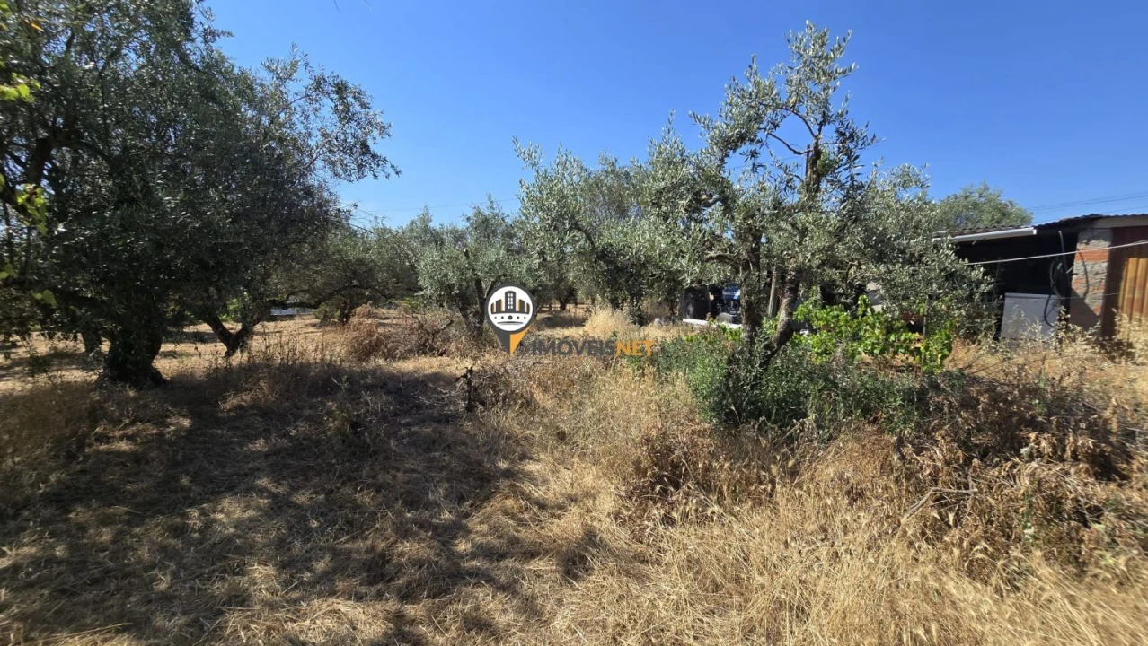 Terreno para Venda em Aldeia do Bispo, Águas e Aldeia de João Pires Foto 5