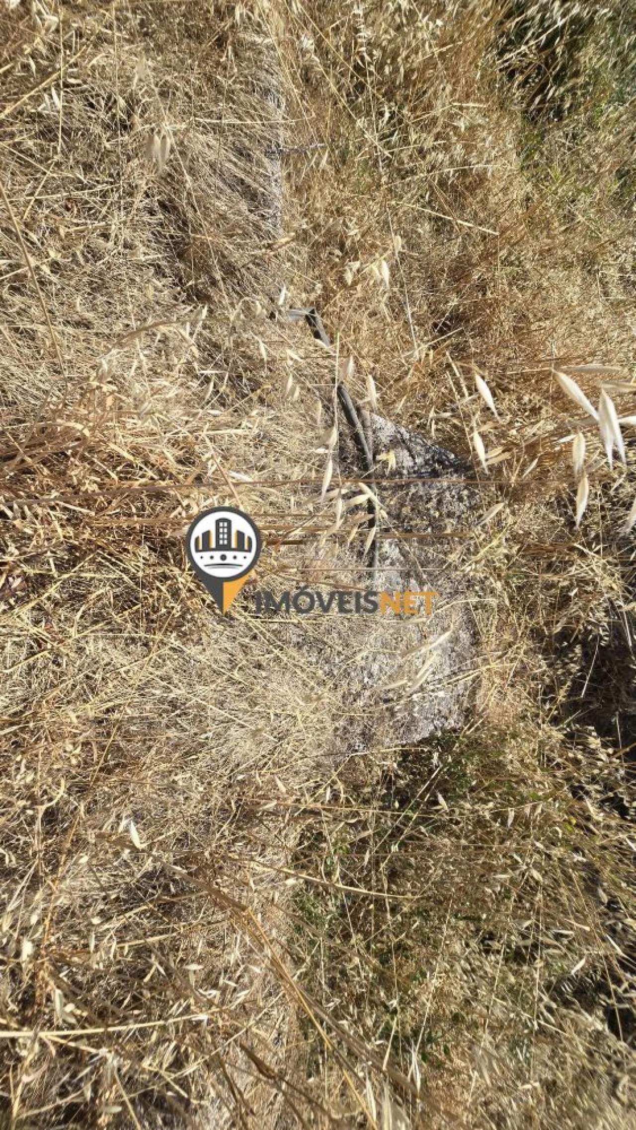 Terreno para Venda em Aldeia do Bispo, Águas e Aldeia de João Pires Foto 19