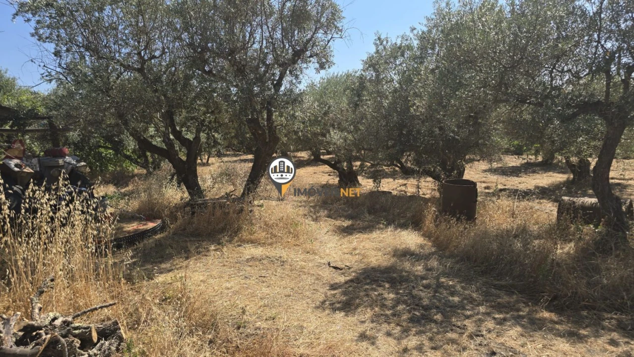Terreno para Venda em Aldeia do Bispo, Águas e Aldeia de João Pires Foto 37