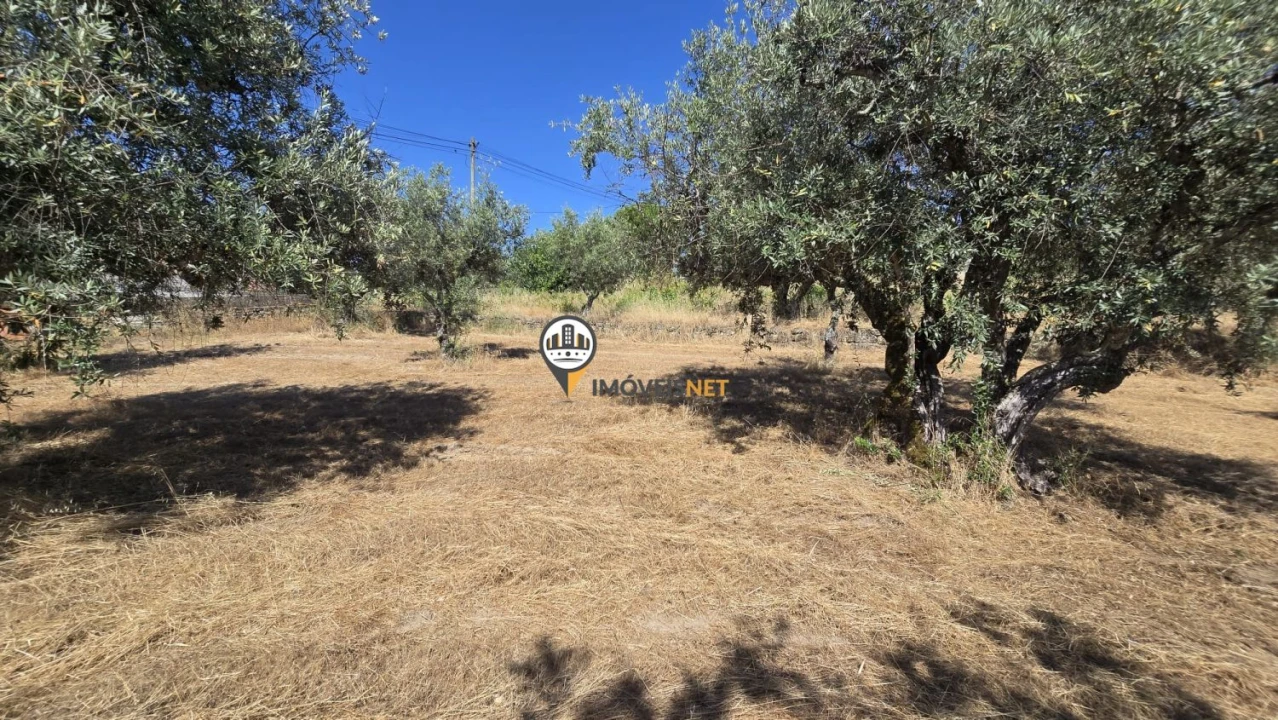 Terreno para Venda em Aldeia do Bispo, Águas e Aldeia de João Pires Foto 6
