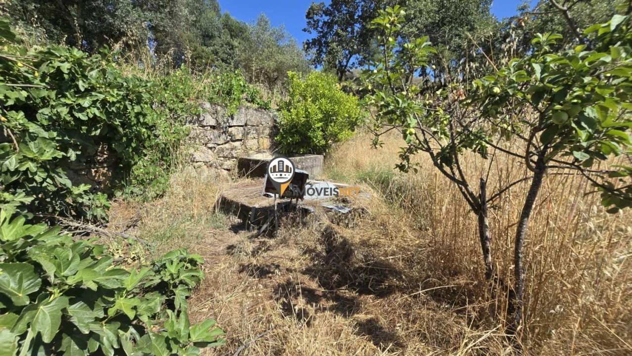 Terreno para Venda em Aldeia do Bispo, Águas e Aldeia de João Pires Foto 27