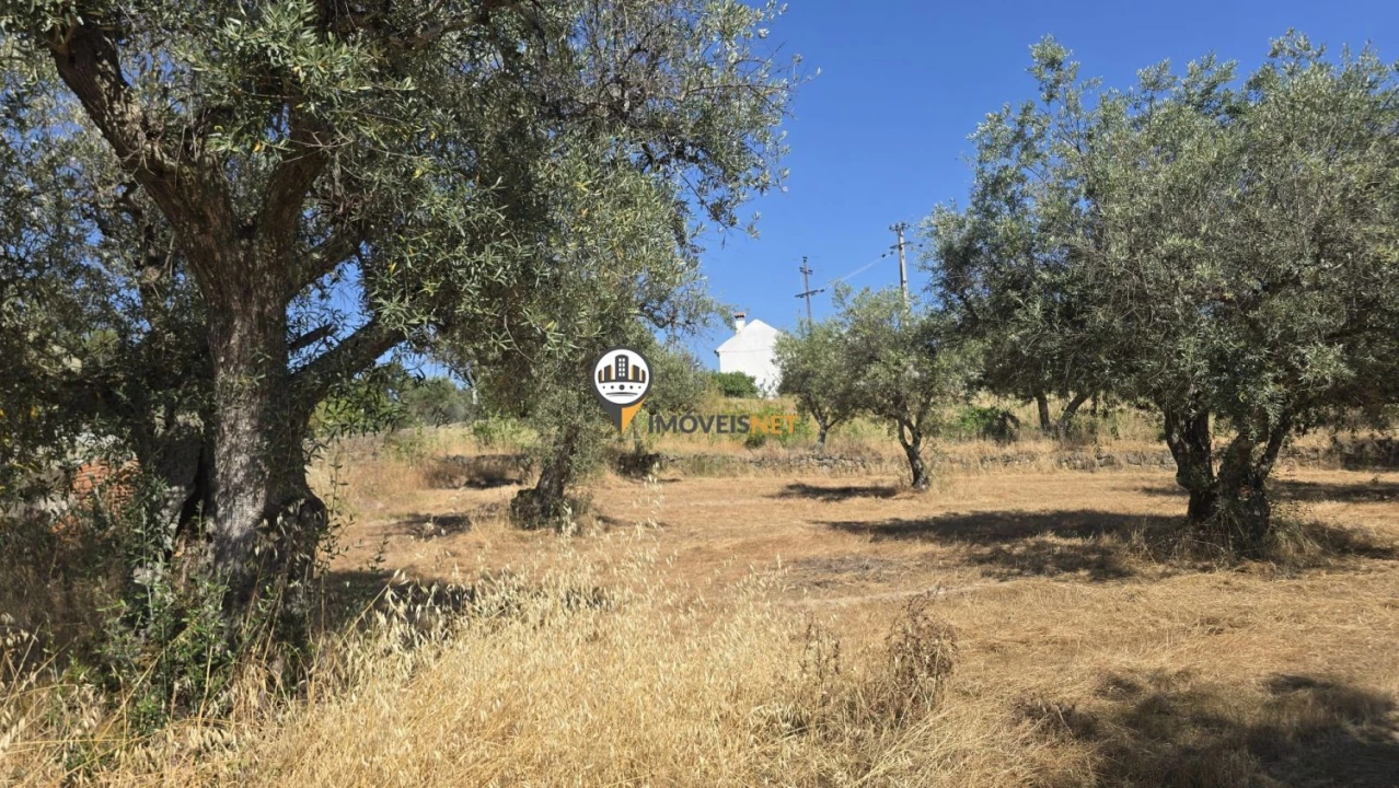 Terreno para Venda em Aldeia do Bispo, Águas e Aldeia de João Pires Foto 43