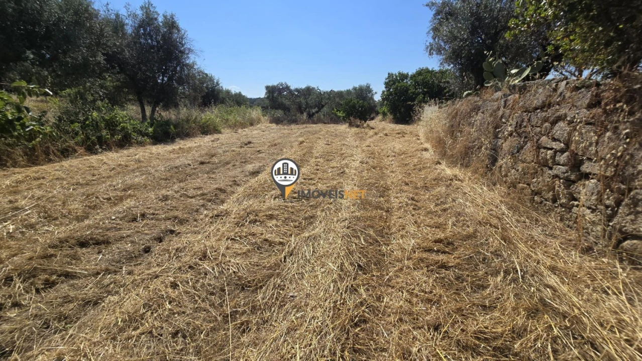 Terreno para Venda em Aldeia do Bispo, Águas e Aldeia de João Pires Foto 17