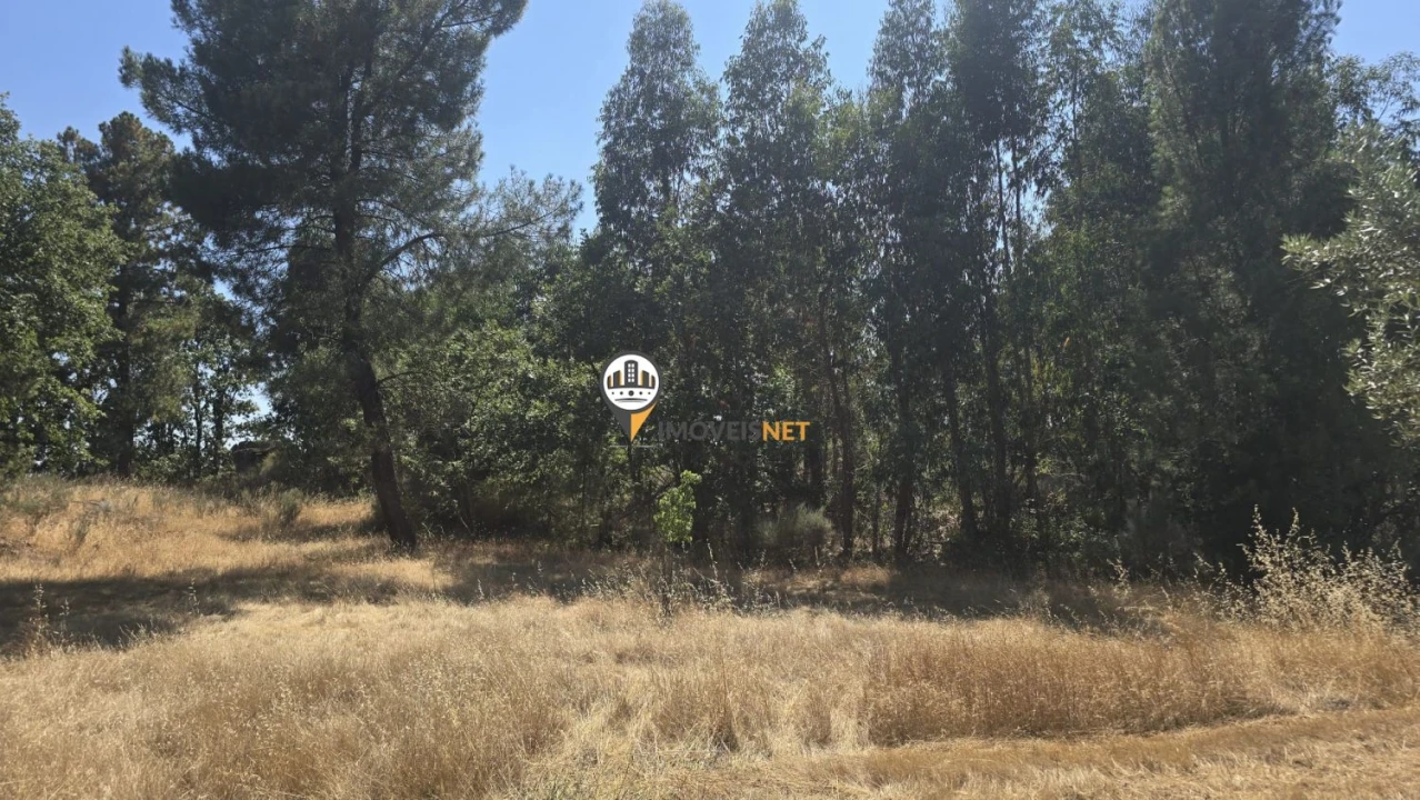 Terreno para Venda em Aldeia do Bispo, Águas e Aldeia de João Pires Foto 13