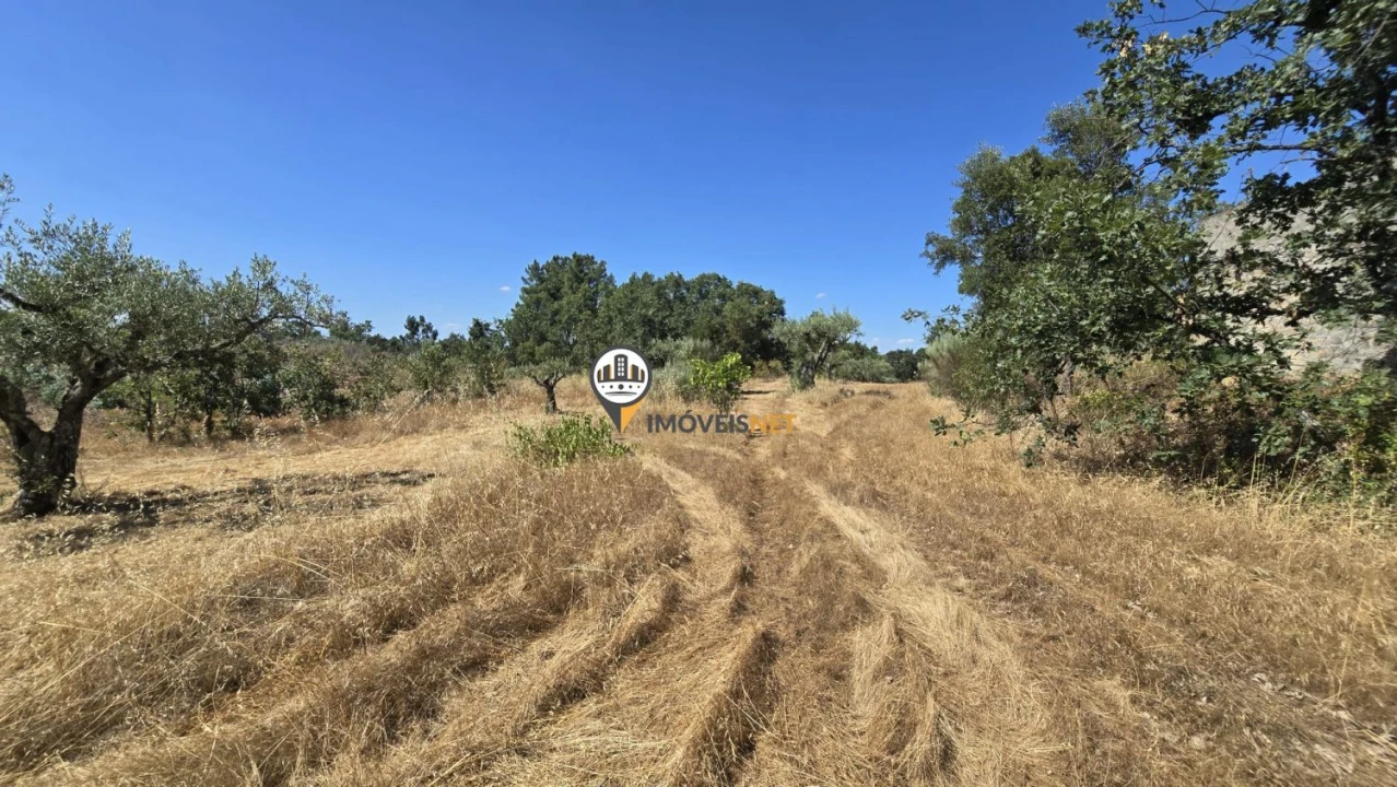 Terreno para Venda em Aldeia do Bispo, Águas e Aldeia de João Pires Foto 21
