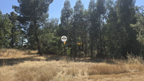 Terreno para Venda em Aldeia do Bispo, Águas e Aldeia de João Pires