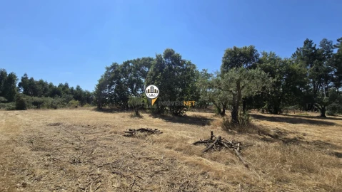 Terreno para Venda em Aldeia do Bispo, Águas e Aldeia de João Pires