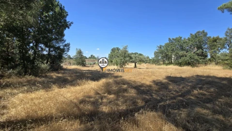 Terreno para Venda em Aldeia do Bispo, Águas e Aldeia de João Pires