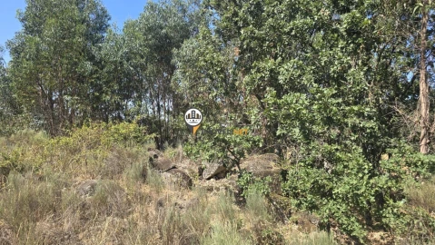 Terreno para Venda em Aldeia do Bispo, Águas e Aldeia de João Pires