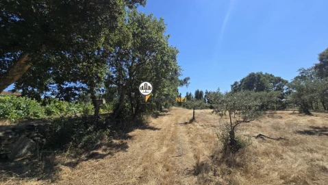 Terreno para Venda em Aldeia do Bispo, Águas e Aldeia de João Pires