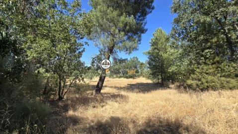 Terreno para Venda em Aldeia do Bispo, Águas e Aldeia de João Pires
