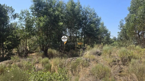 Terreno para Venda em Aldeia do Bispo, Águas e Aldeia de João Pires
