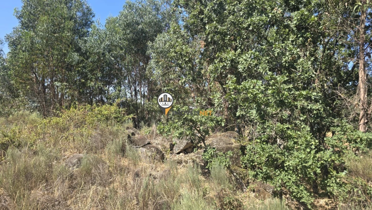 Terreno para Venda em Aldeia do Bispo, Águas e Aldeia de João Pires Foto 11