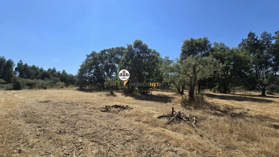 Terreno para Venda em Aldeia do Bispo, Águas e Aldeia de João Pires Foto 7