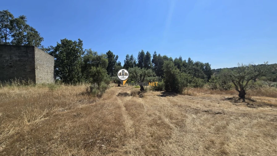 Terreno para Venda em Aldeia do Bispo, Águas e Aldeia de João Pires Foto 17