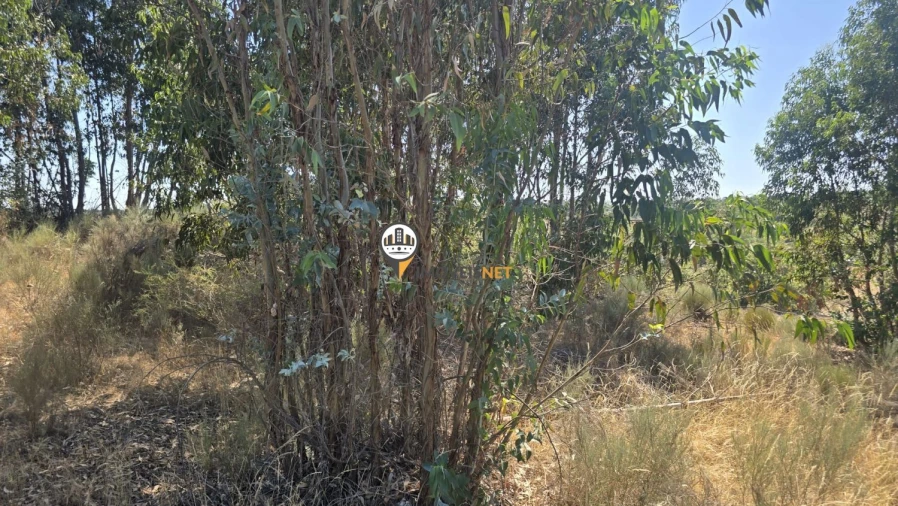 Terreno para Venda em Aldeia do Bispo, Águas e Aldeia de João Pires Foto 14