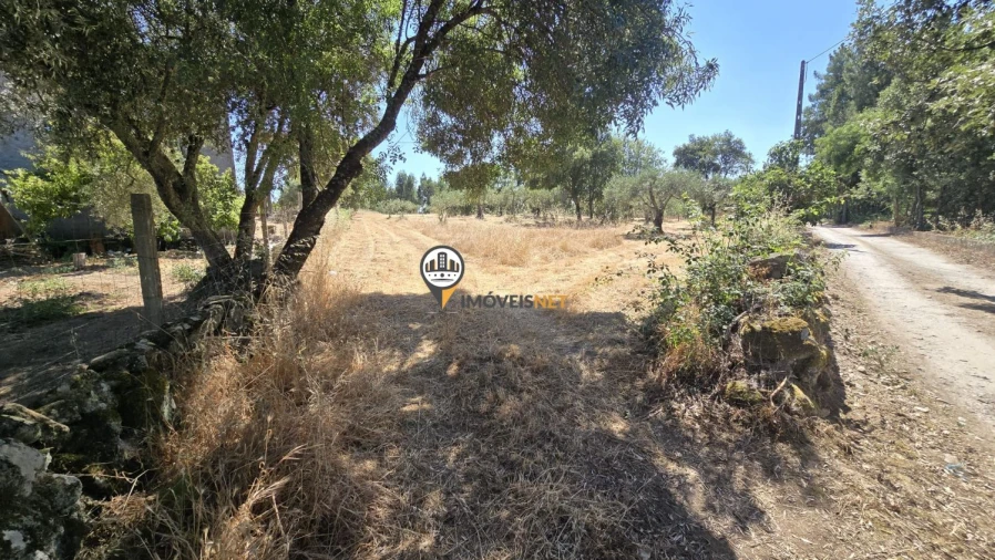 Terreno para Venda em Aldeia do Bispo, Águas e Aldeia de João Pires Foto 3