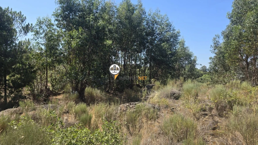 Terreno para Venda em Aldeia do Bispo, Águas e Aldeia de João Pires Foto 16