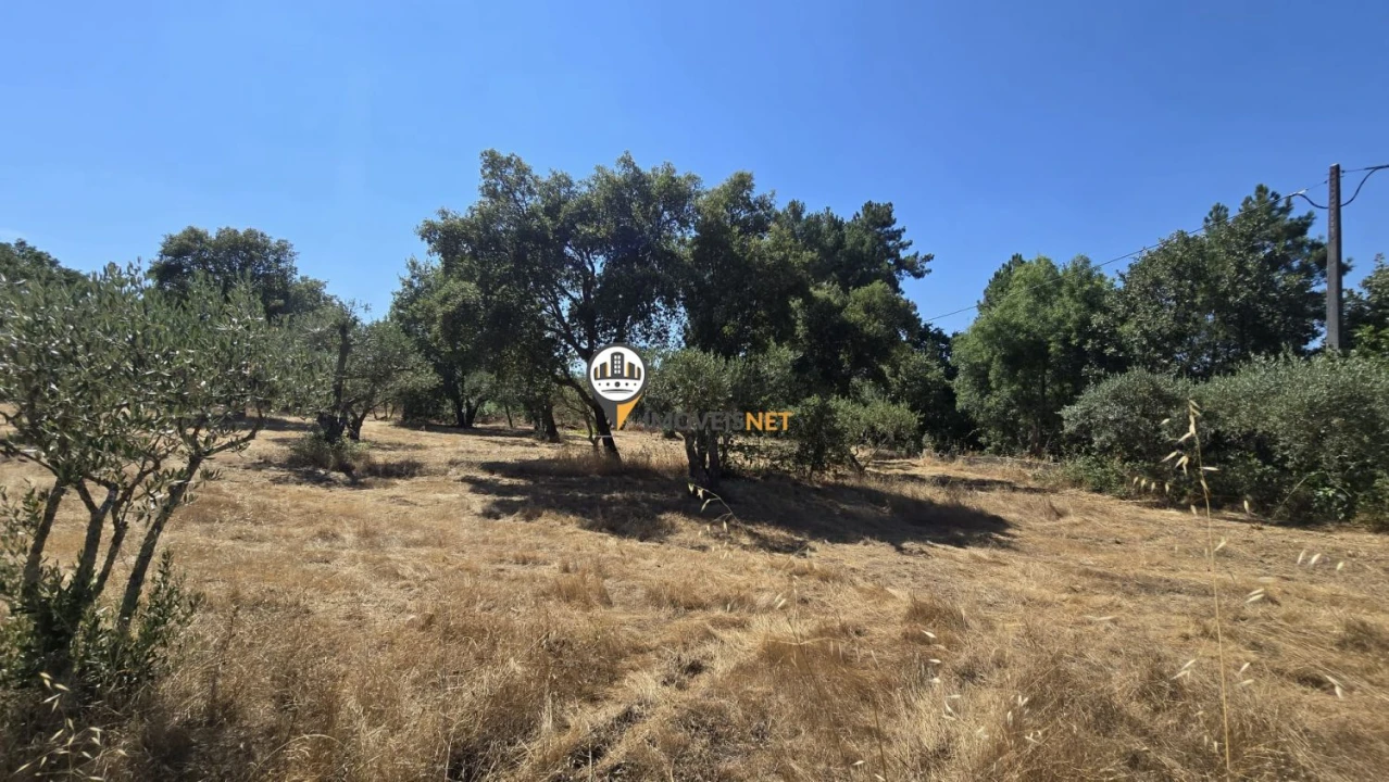 Terreno para Venda em Aldeia do Bispo, Águas e Aldeia de João Pires Foto 8