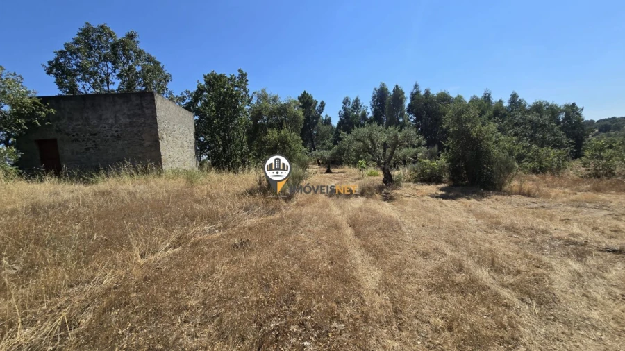 Terreno para Venda em Aldeia do Bispo, Águas e Aldeia de João Pires