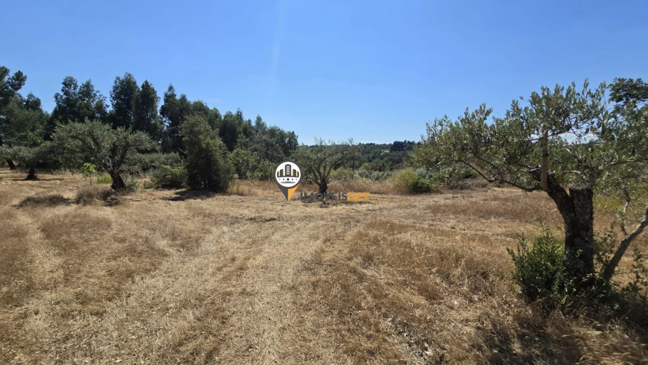 Terreno para Venda em Aldeia do Bispo, Águas e Aldeia de João Pires Foto 18