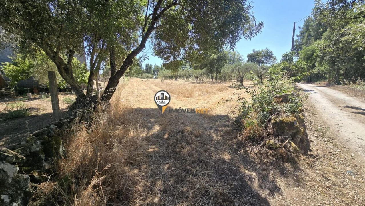 Terreno para Venda em Aldeia do Bispo, Águas e Aldeia de João Pires Foto 3