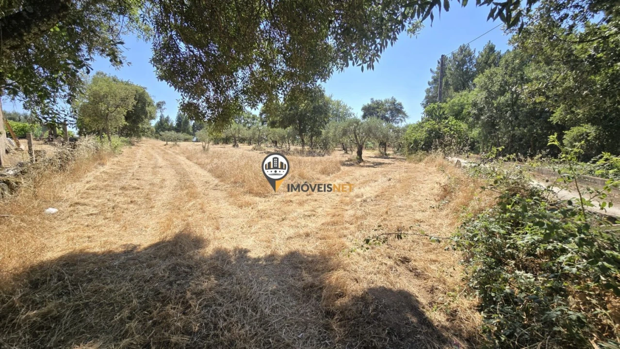 Terreno para Venda em Aldeia do Bispo, Águas e Aldeia de João Pires Foto 4