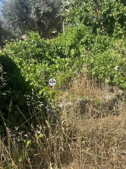 Terreno para Venda em Aldeia do Bispo, Águas e Aldeia de João Pires