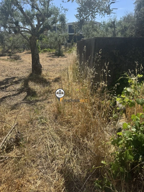 Terreno para Venda em Aldeia do Bispo, Águas e Aldeia de João Pires