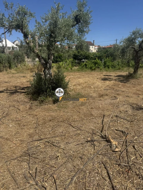 Terreno para Venda em Aldeia do Bispo, Águas e Aldeia de João Pires