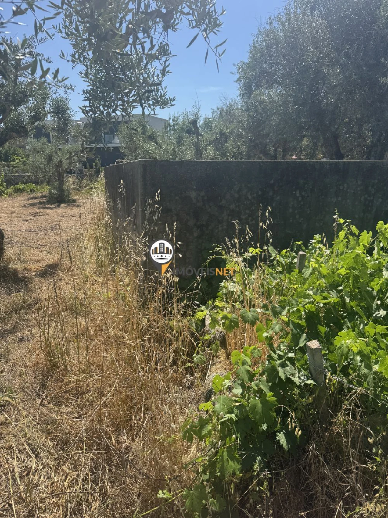 Terreno para Venda em Aldeia do Bispo, Águas e Aldeia de João Pires Foto 4
