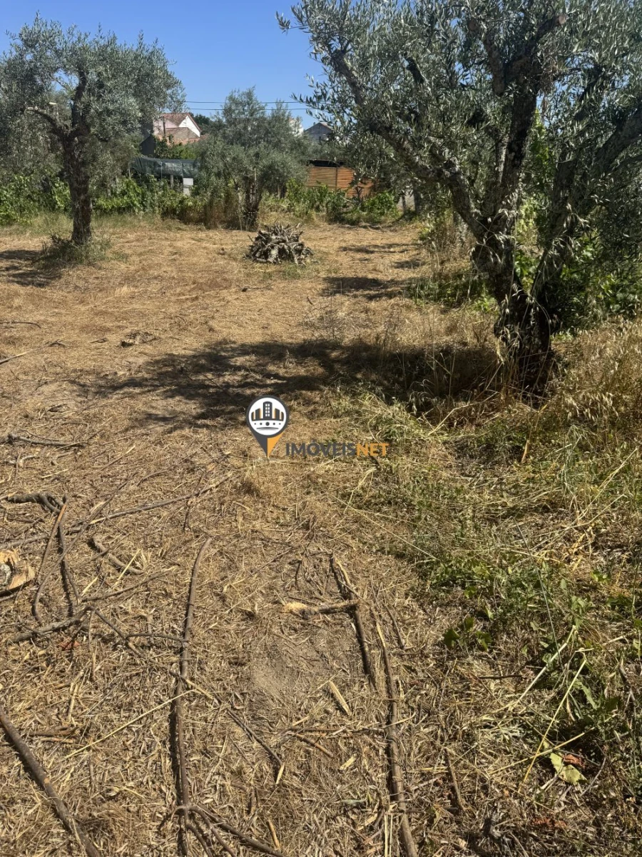 Terreno para Venda em Aldeia do Bispo, Águas e Aldeia de João Pires Foto 7