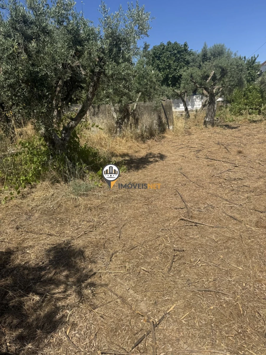Terreno para Venda em Aldeia do Bispo, Águas e Aldeia de João Pires Foto 8