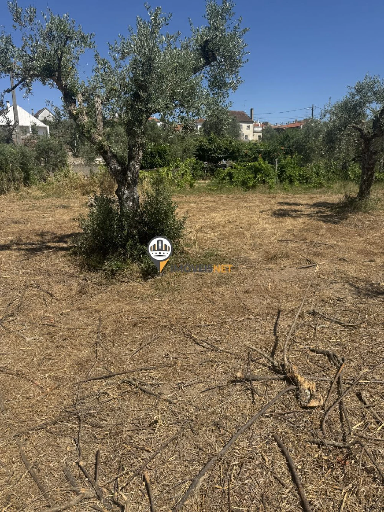Terreno para Venda em Aldeia do Bispo, Águas e Aldeia de João Pires Foto 2