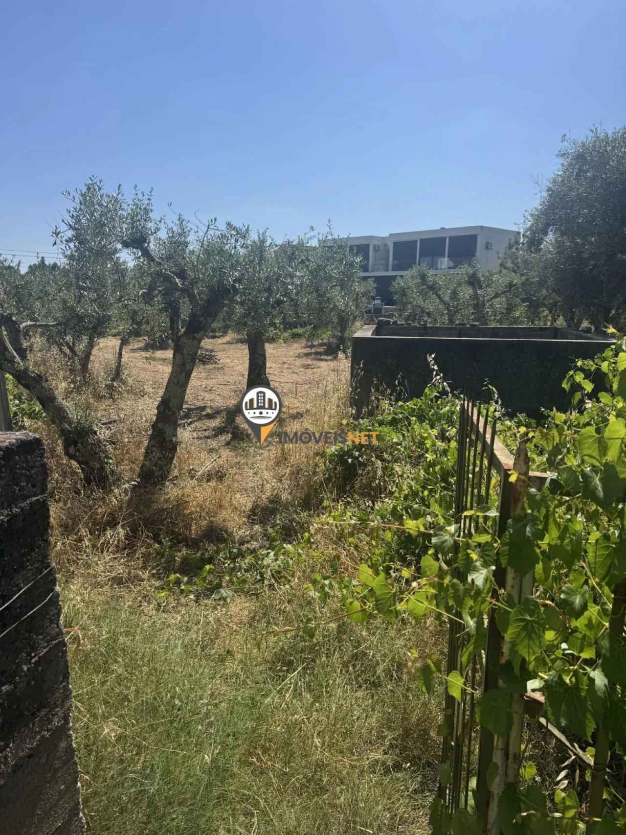 Terreno para Venda em Aldeia do Bispo, Águas e Aldeia de João Pires Foto 1