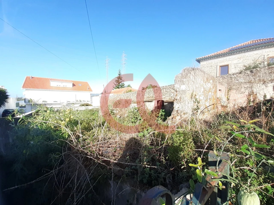 Terreno para Venda em Santa Marta de Portuzelo Foto 3