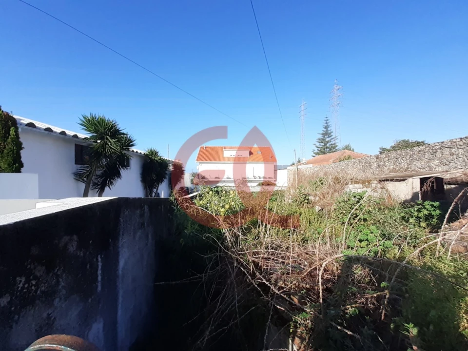 Terreno para Venda em Santa Marta de Portuzelo Foto 4
