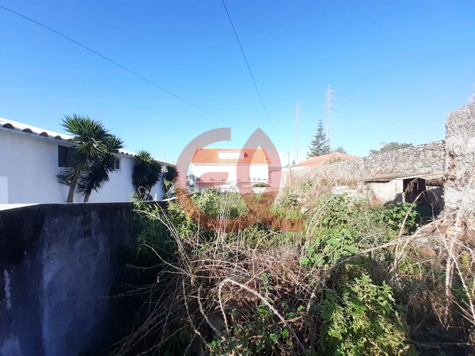 Terreno para Venda em Santa Marta de Portuzelo Foto 9