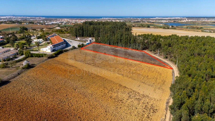 Terreno para Venda em Atouguia da Baleia