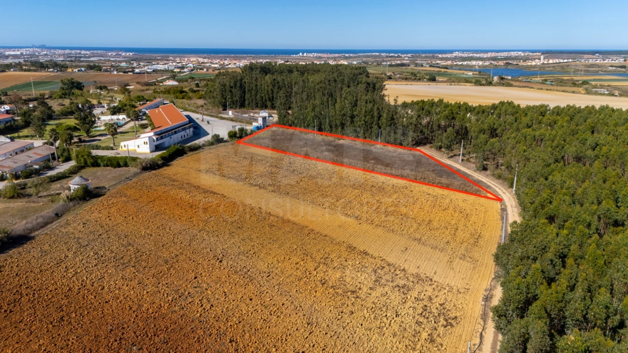 Terreno para Venda em Atouguia da Baleia Foto 1