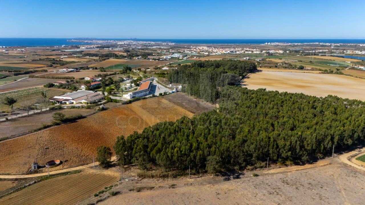 Terreno para Venda em Atouguia da Baleia Foto 12
